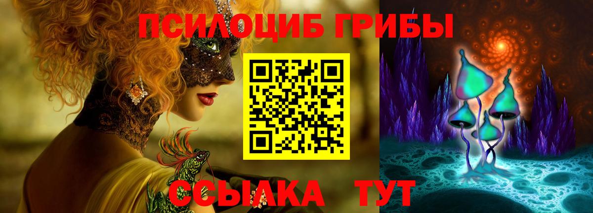 Галлюциногенные грибы прущие грибы  купить наркотик  Шебекино  Вход с VPN 